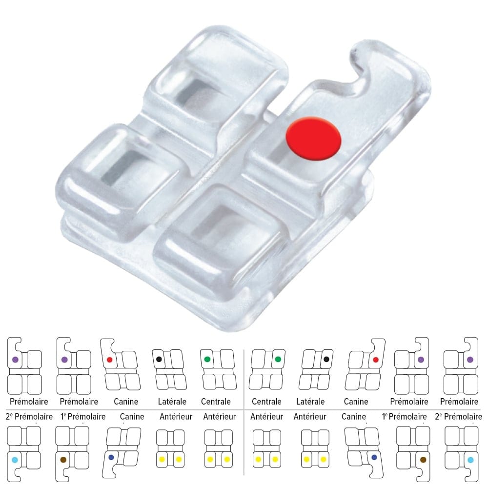 Brackets Maxillaires Pure ROTH (10) – Ortho Technology